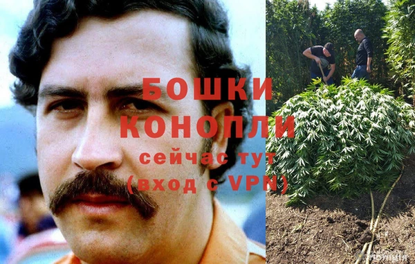 крисы Аркадак