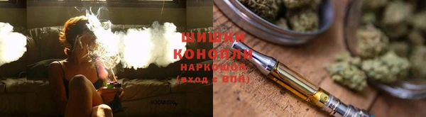 крисы Аркадак