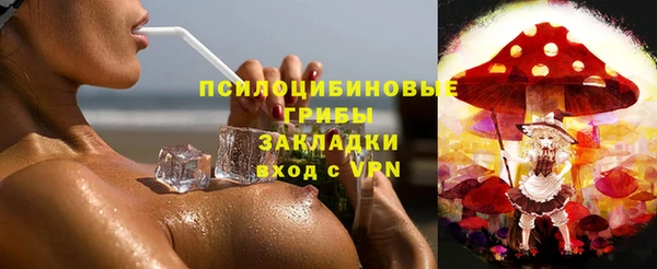 крисы Аркадак