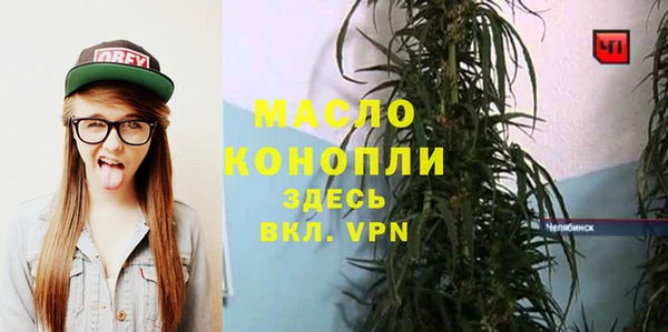 крисы Аркадак