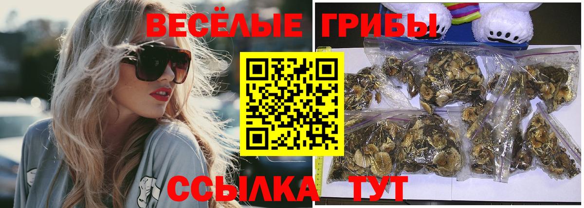 Галлюциногенные грибы прущие грибы  Вход с VPN  Балтийск 