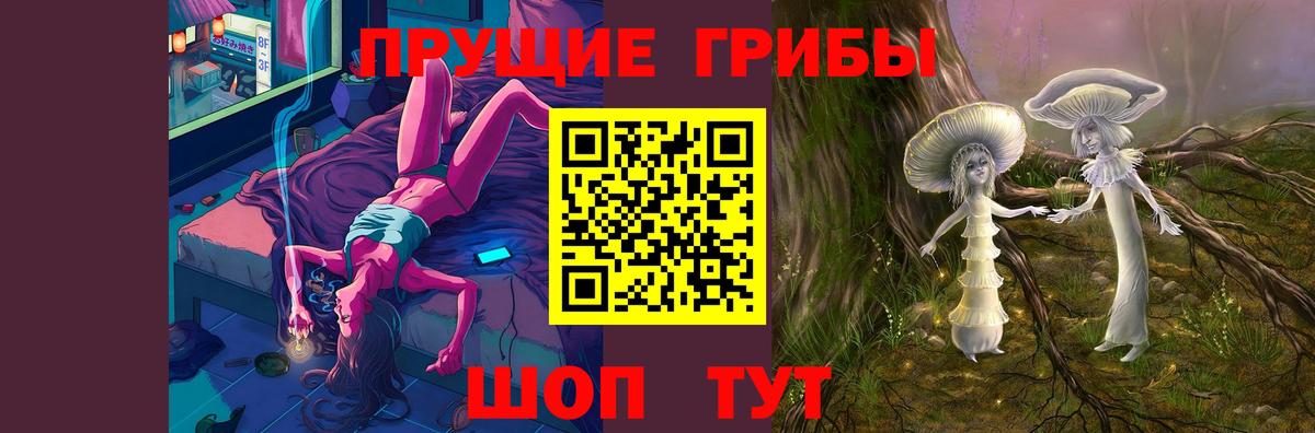 Галлюциногенные грибы мухоморы Балтийск